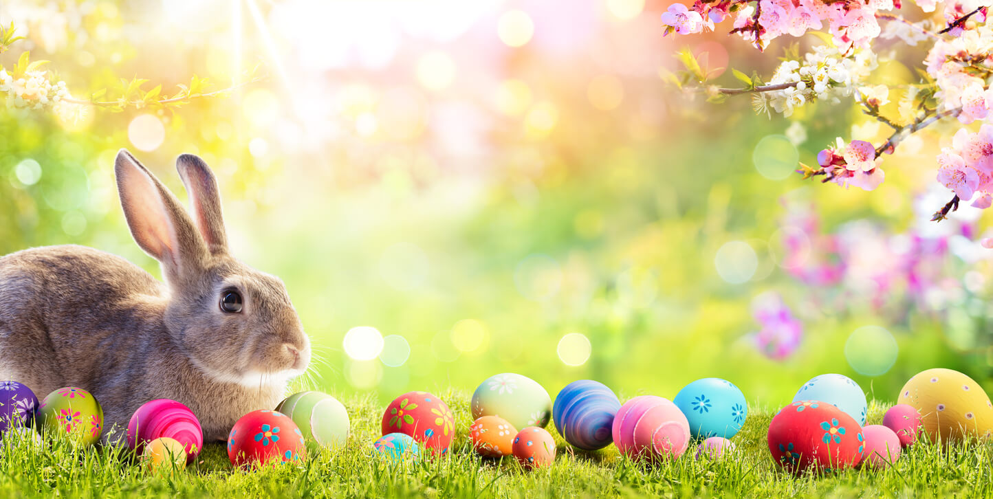 Hosting Easter with a bunny in a meadow surrounded by Easter eggs